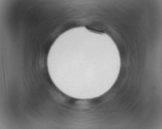 X0000081270133200702081937