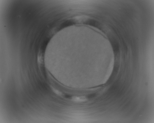 X0000081270137200702081936