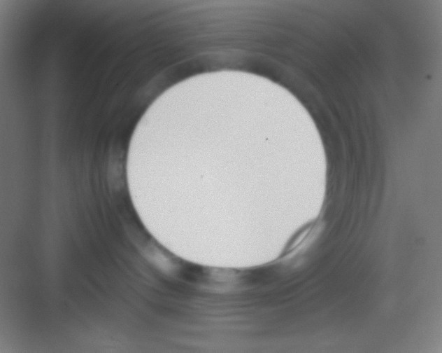 X0000081270144200702081936
