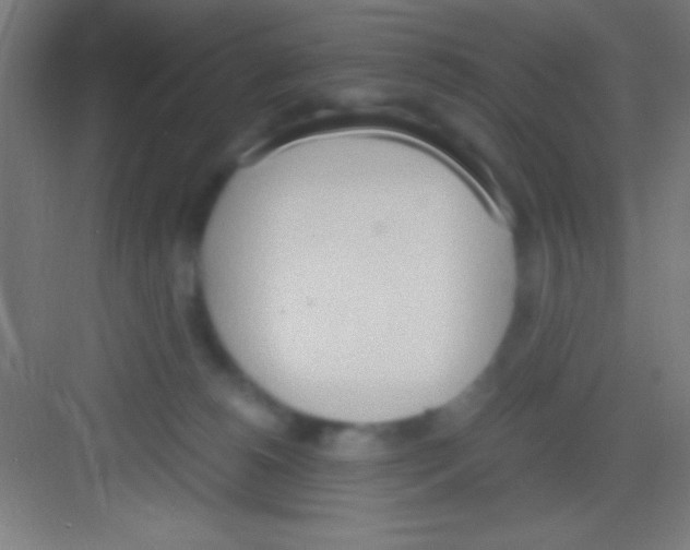 X0000081270180200702081936