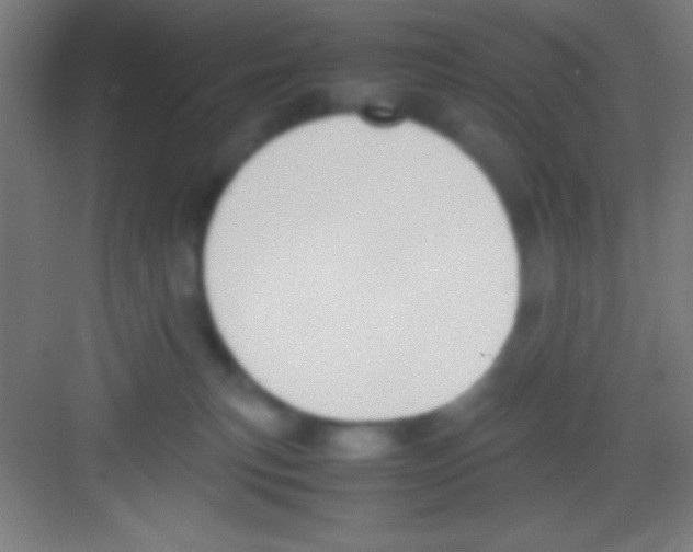 X0000081270183200702081936