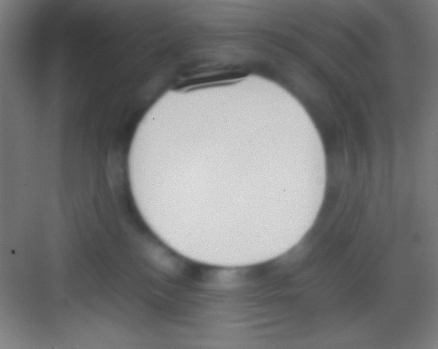 X0000081270184200702081936