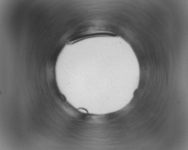 X0000081270188200702081936