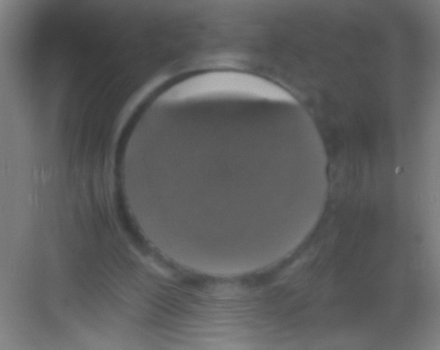 X0000081270200200702081935