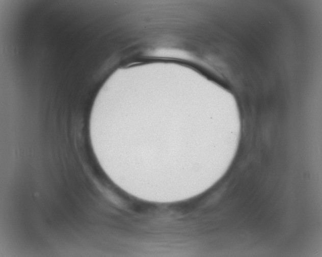 X0000081270201200702081935