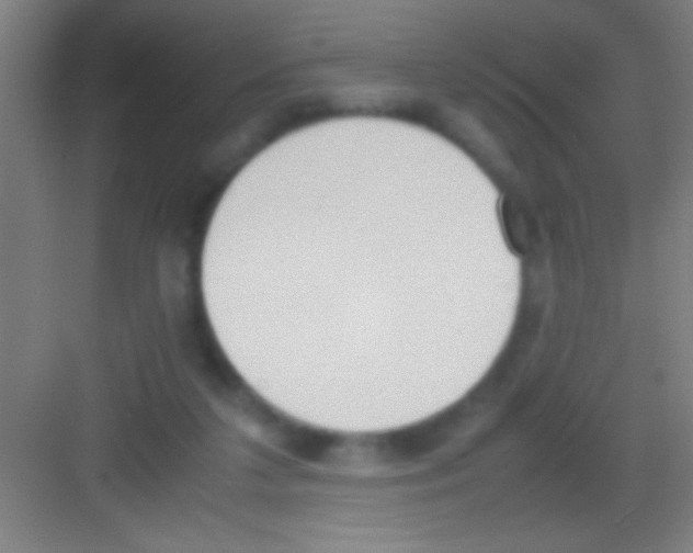 X0000081270211200702081935