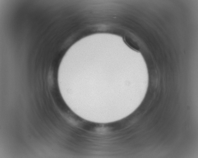 X0000081270216200702081935
