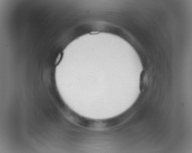 X0000081270217200702081935