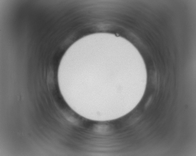 X0000081270220200702081935