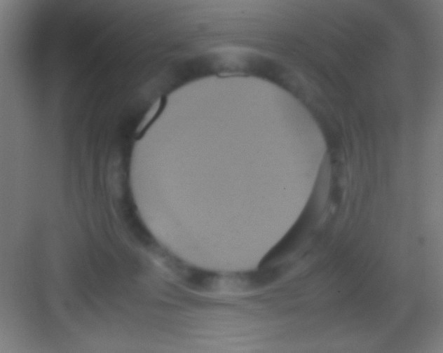 X0000081270223200702081935