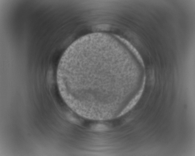 X0000081270224200702081935