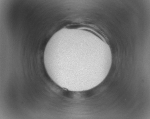 X0000081270229200702081935