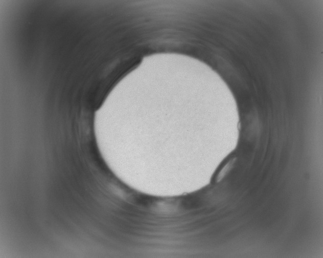 X0000081270232200702081935