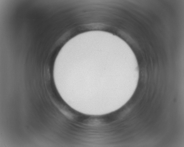 X0000081270254200702081934