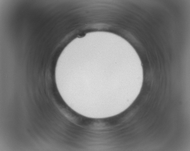 X0000081270256200702081934