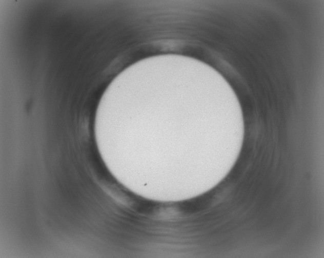 X0000081270262200702081934