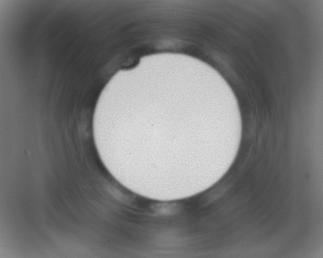 X0000081270273200702081934