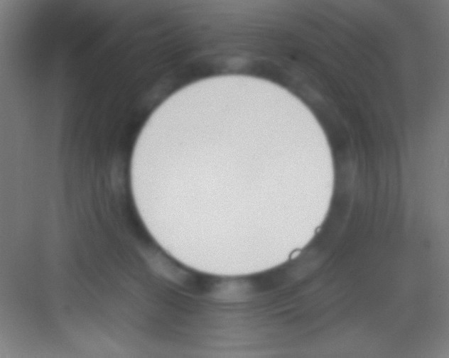 X0000081270274200702081934