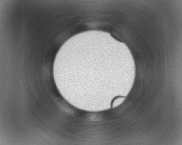 X0000081270275200702081935