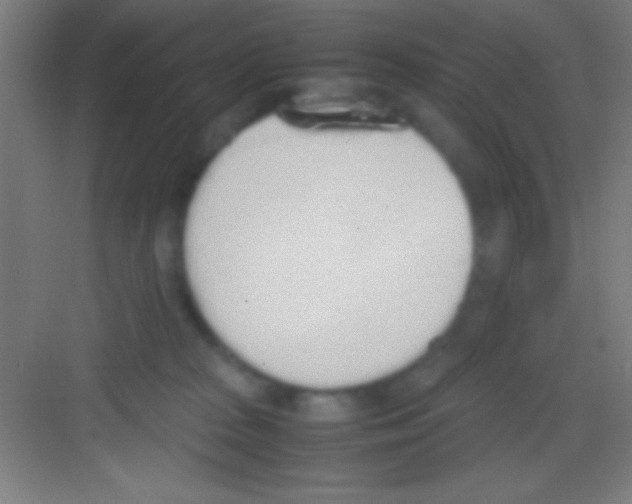 X0000081270277200702081935