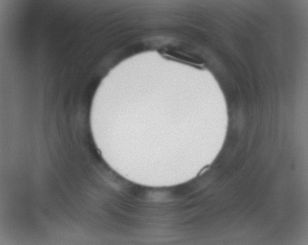 X0000081270283200702081935