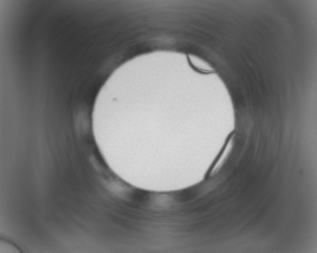 X0000081270287200702081935