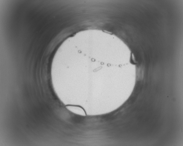 X0000081270291200702081934