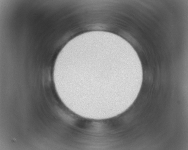 X0000081270302200702081934