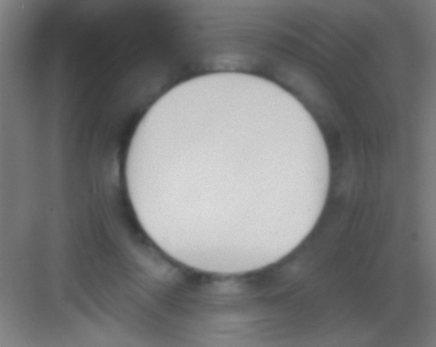 X0000081270310200702081934