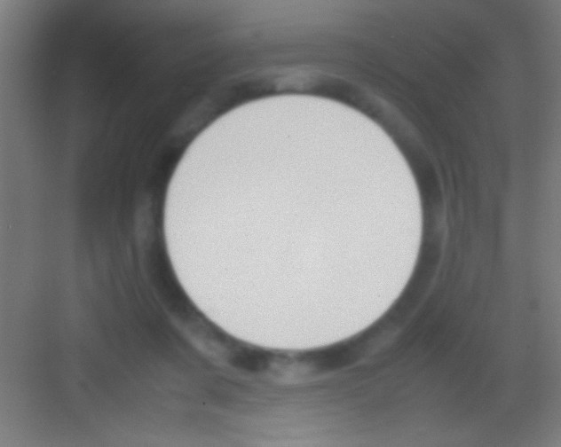 X0000081270311200702081934