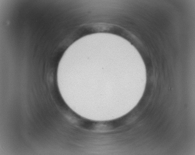 X0000081270315200702081933