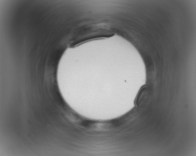 X0000081270323200702081933