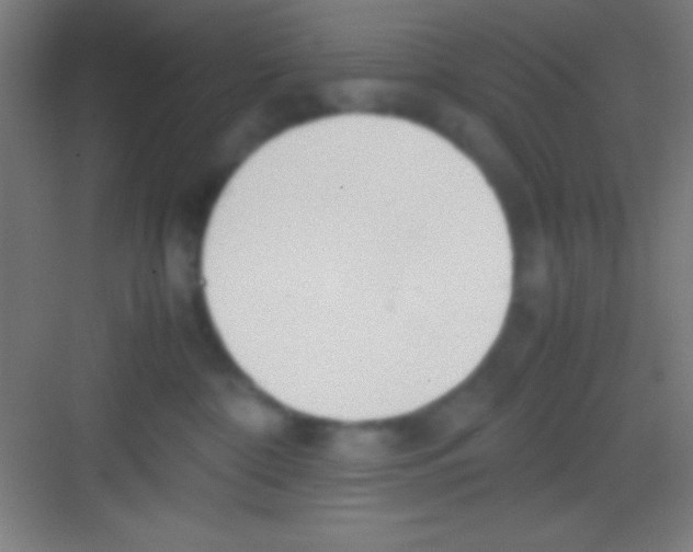 X0000081270332200702081933
