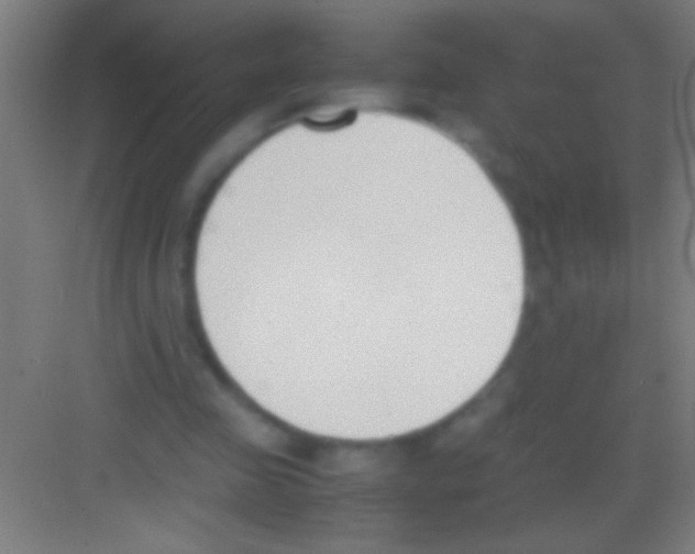X0000081270341200702081932