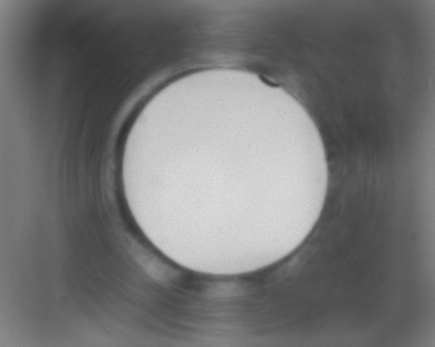 X0000081270342200702081932