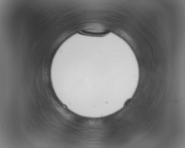X0000081270345200702081932