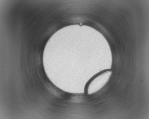 X0000081270362200702081933