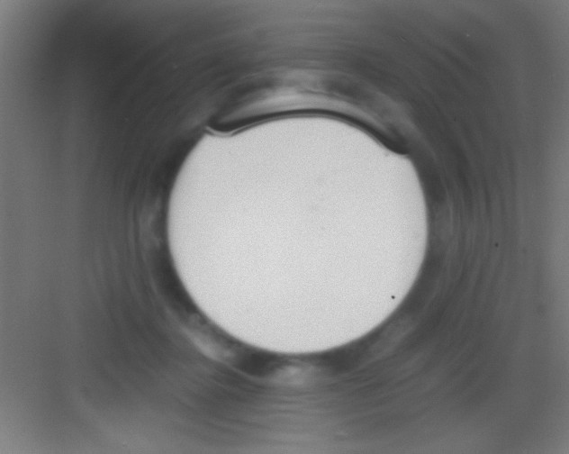 X0000081270364200702081933