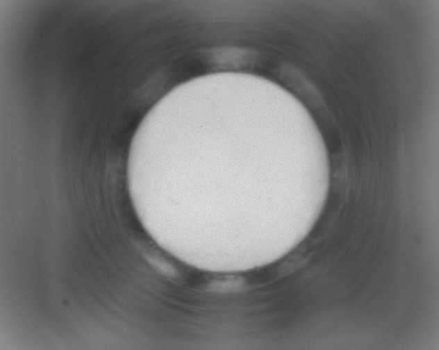 X0000081270369200702081933