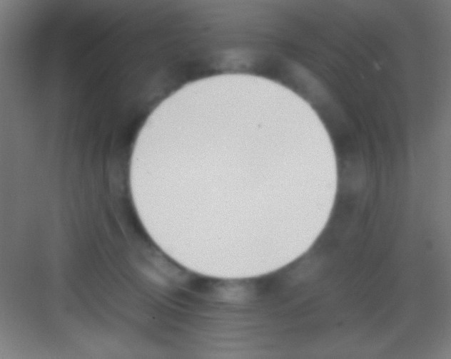 X0000081270370200702081933