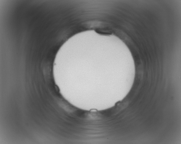 X0000081270372200702081933