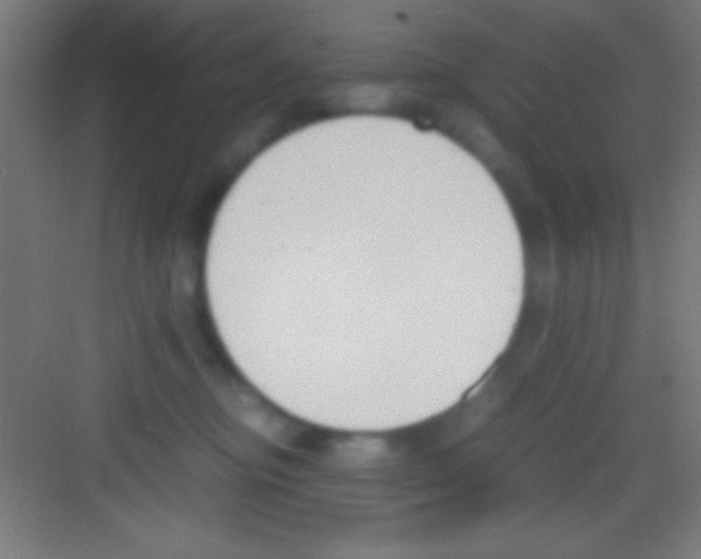 X0000081270374200702081933