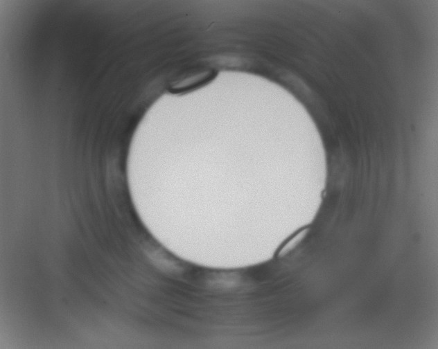 X0000081270377200702081933