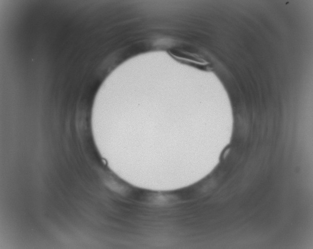 X0000081270379200702081933