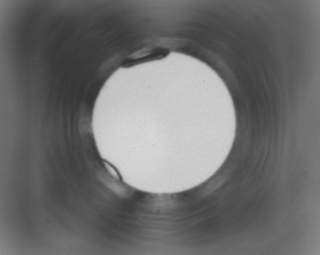 X0000081270384200702081933