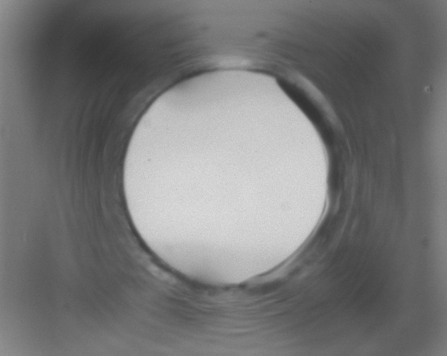 X0000081270385200702081932