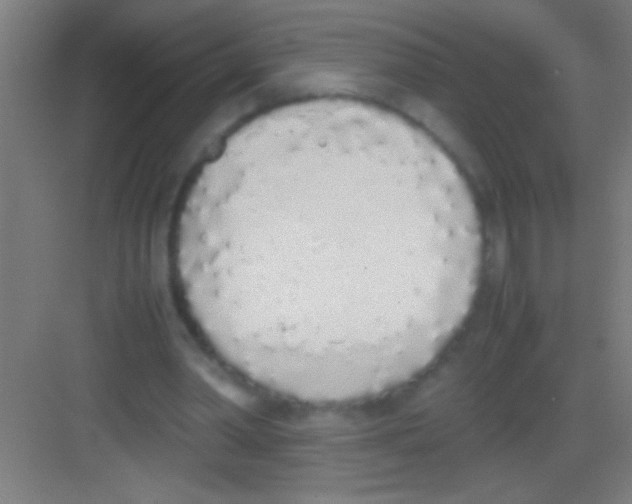 X0000081270390200702081932