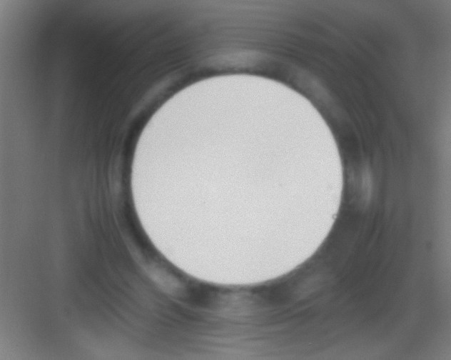 X0000081270396200702081932