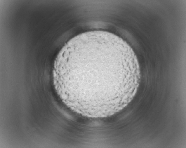 X0000081270402200702081932