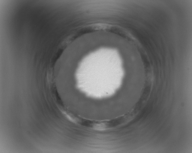 X0000081270411200702081932